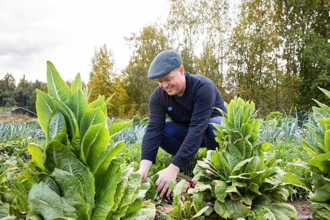 Web_Desktop-2024_ISS_FI_Chef sul campo