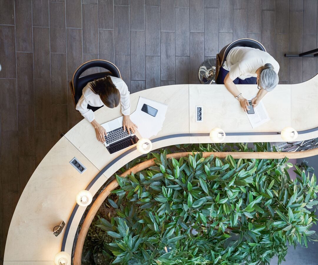 Web_Desktop-Giovane studente e donna adulta che lavorano alla stessa scrivania